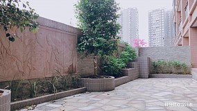新中式花园600平方大平层装修图大全