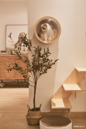 在他家，猫咪都有三层别墅装修图大全