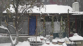 梦想改造家哈尔滨60年老房的冰与火之歌装修图大全