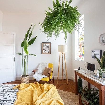 美式客厅装修图片